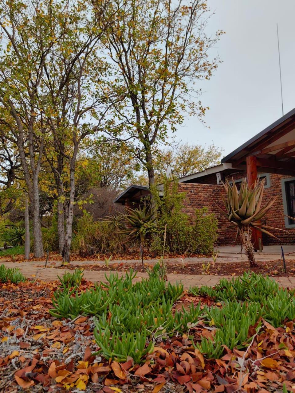 Munati B&B Musina Exterior photo